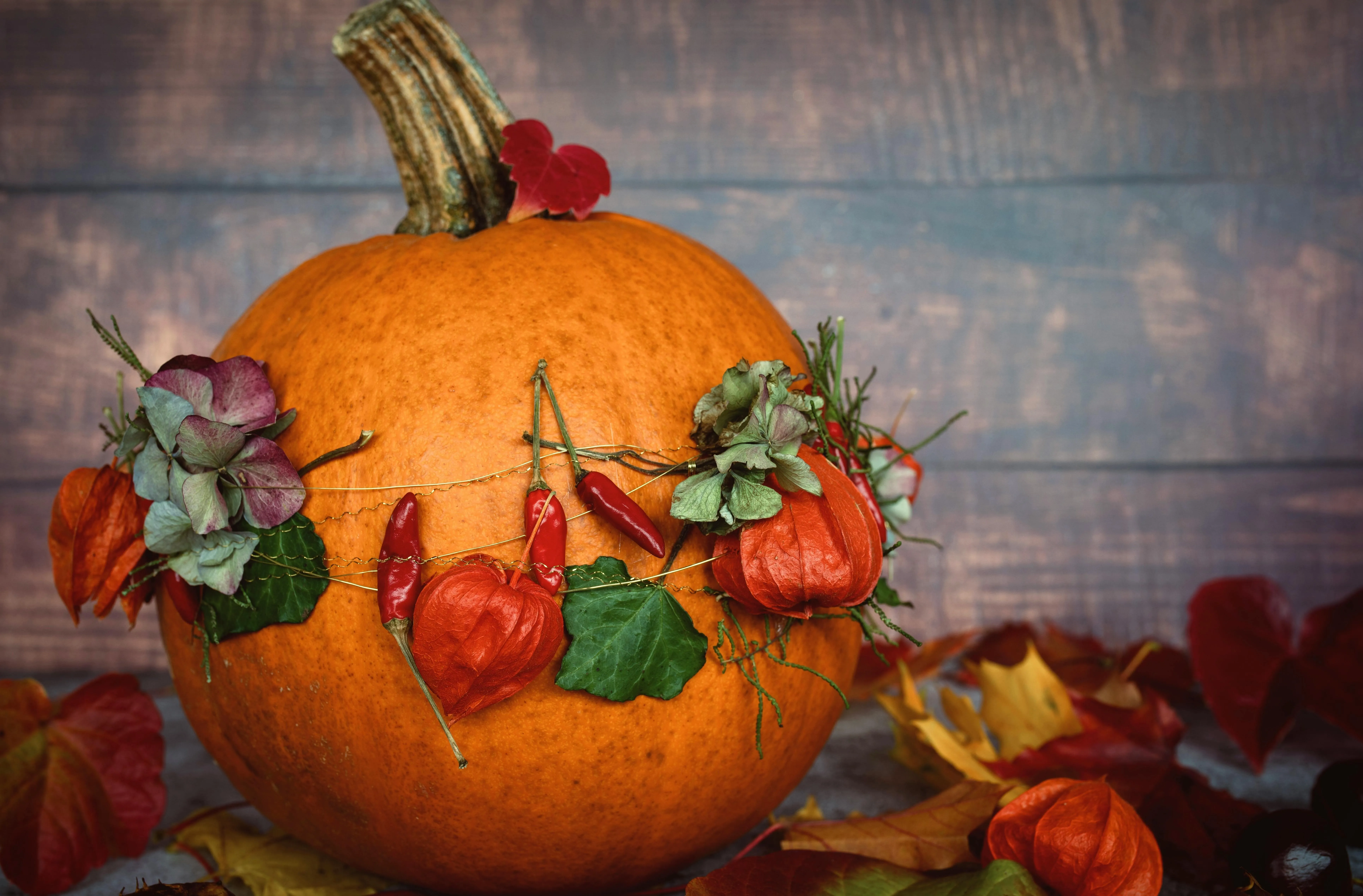 Pumpkin Surrounded By Autumn Leaves HD Free Wallpaper