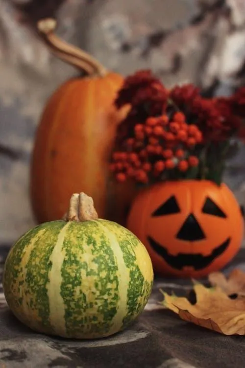 Pumpkin with Green Gourd and Red Flowers Autumn Display