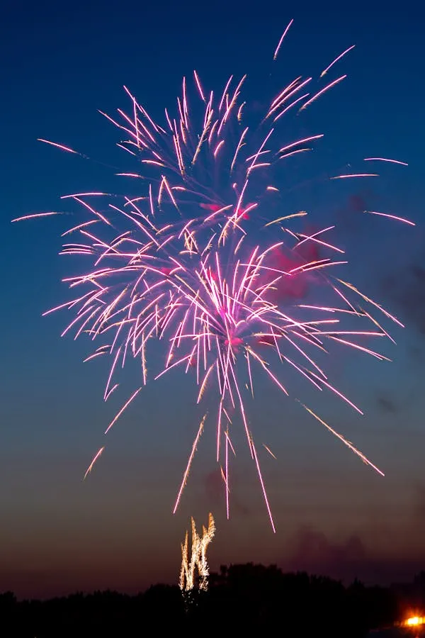 Purple Fireworks Exploding over the Horizon Wallpaper