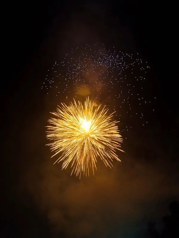 Radiant Golden Firework Burst Lighting up the Sky image