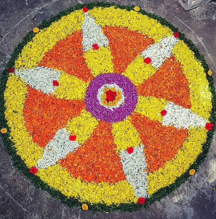 Radiant star floral pattern with colourful rose detail image