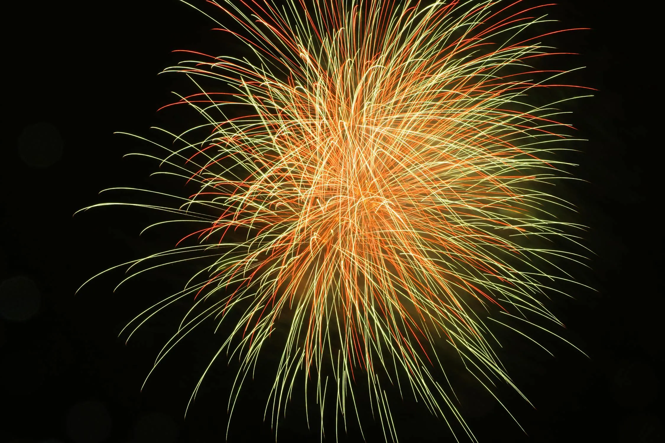 Radiant Yellow Fireworks Bursting in the Night Sky