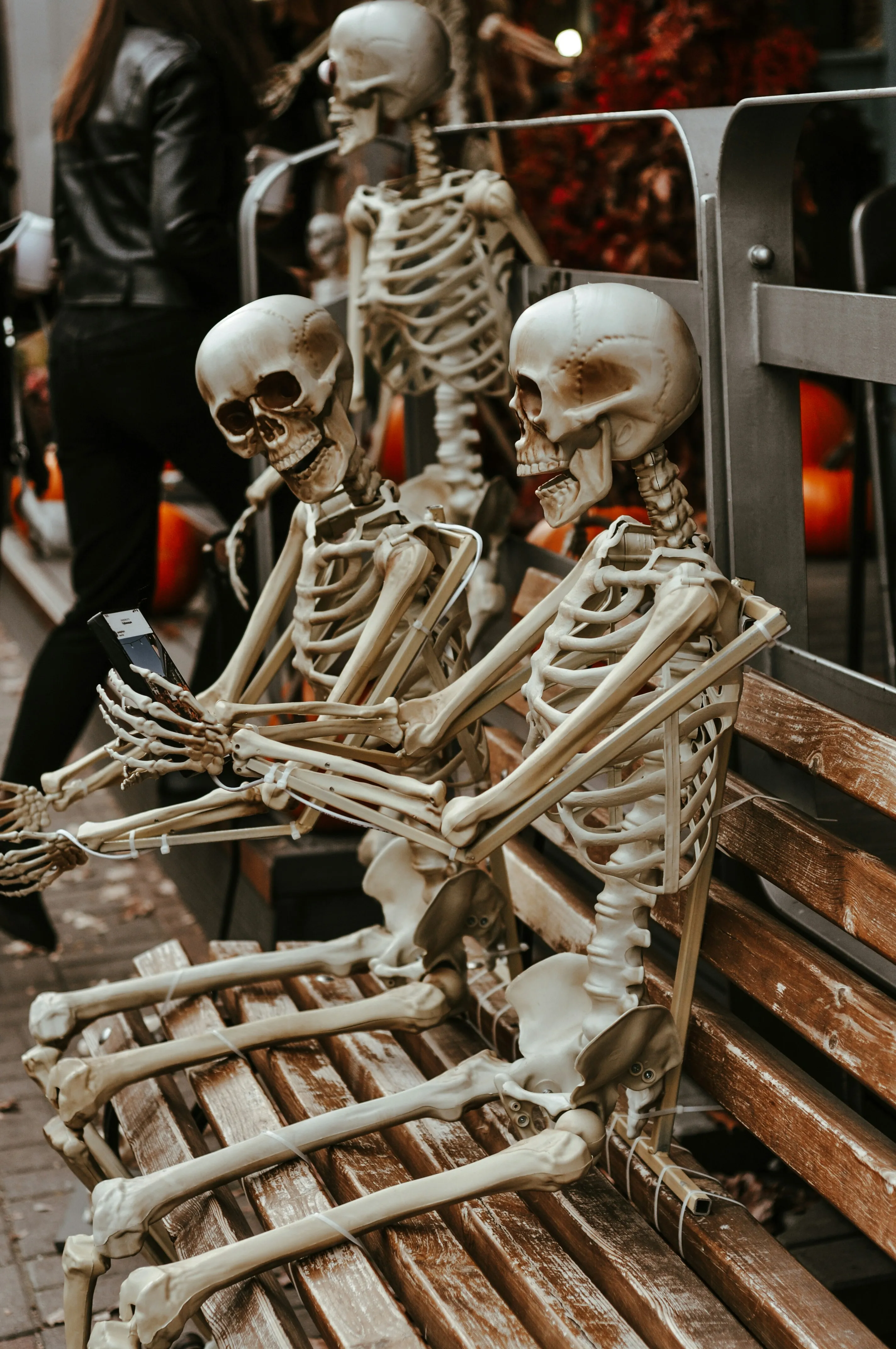 Realistic Skeleton Props on Halloween Bench Display image