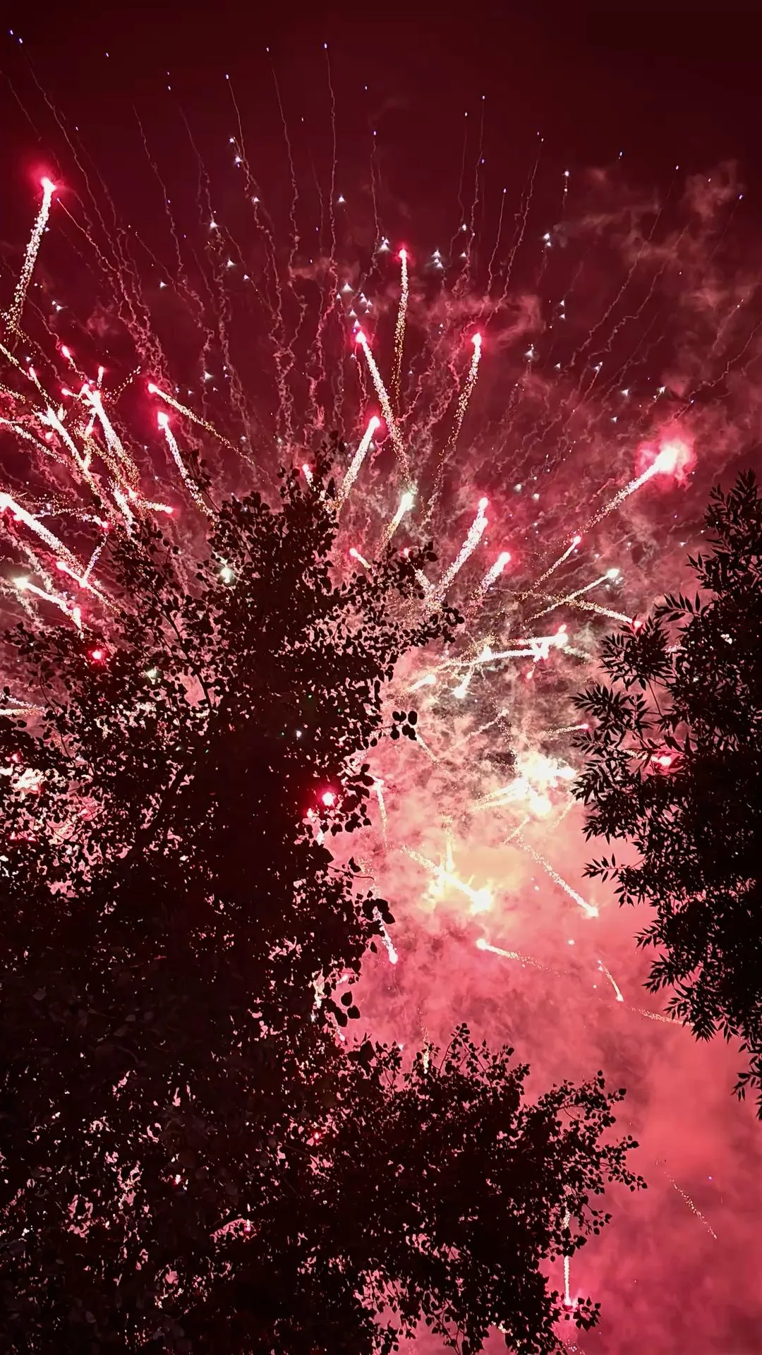 Red Fireworks Exploding Through Dark Trees Wallpaper