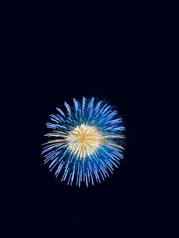 Round Flower Firework Burst Lighting the Dark Sky HD