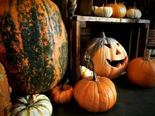 Rustic Display Of Various Pumpkins in Wooden Crate Wallpaper