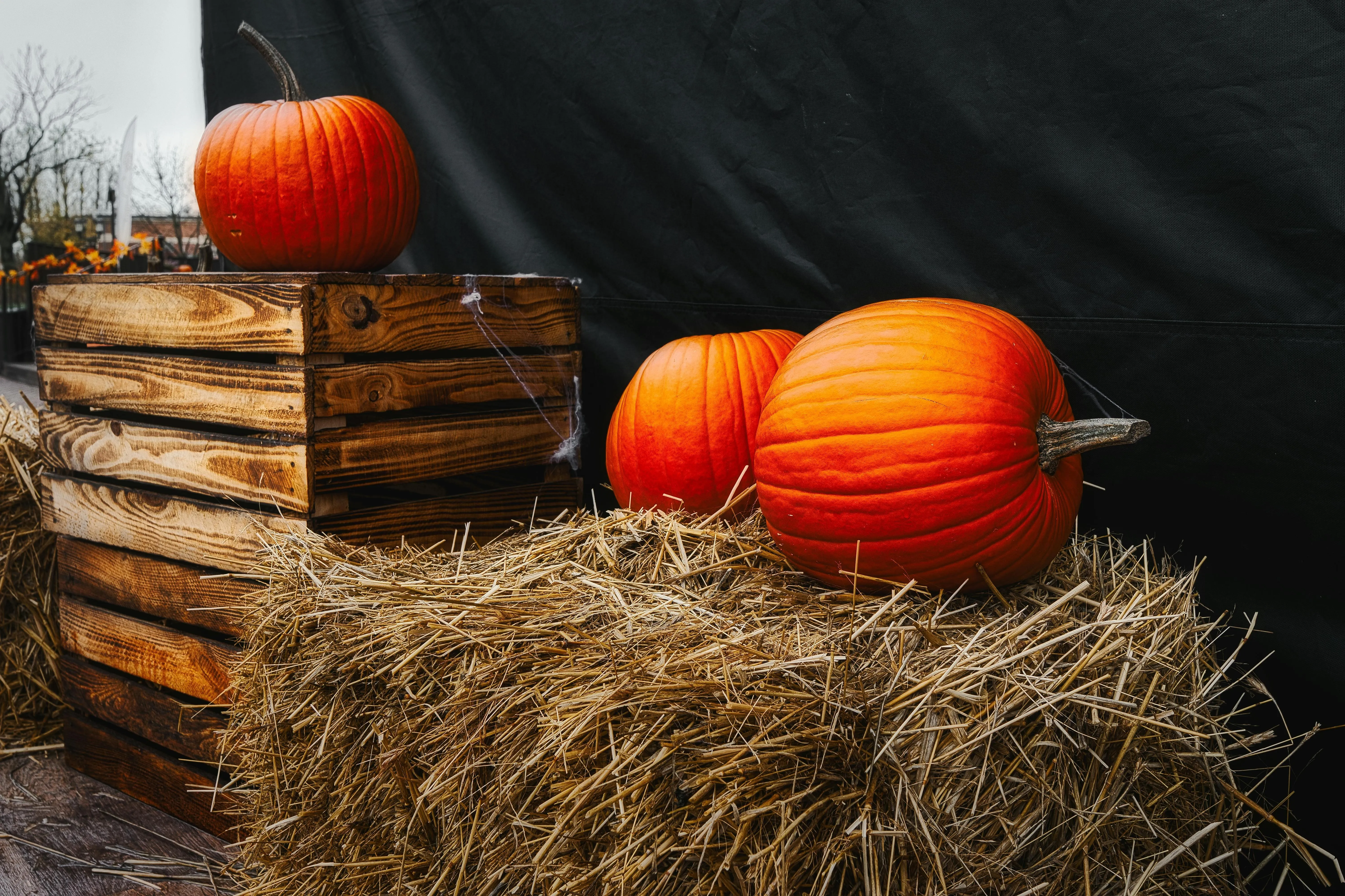 Rustic Haystack with Pumpkins For Autumn Decoration Image
