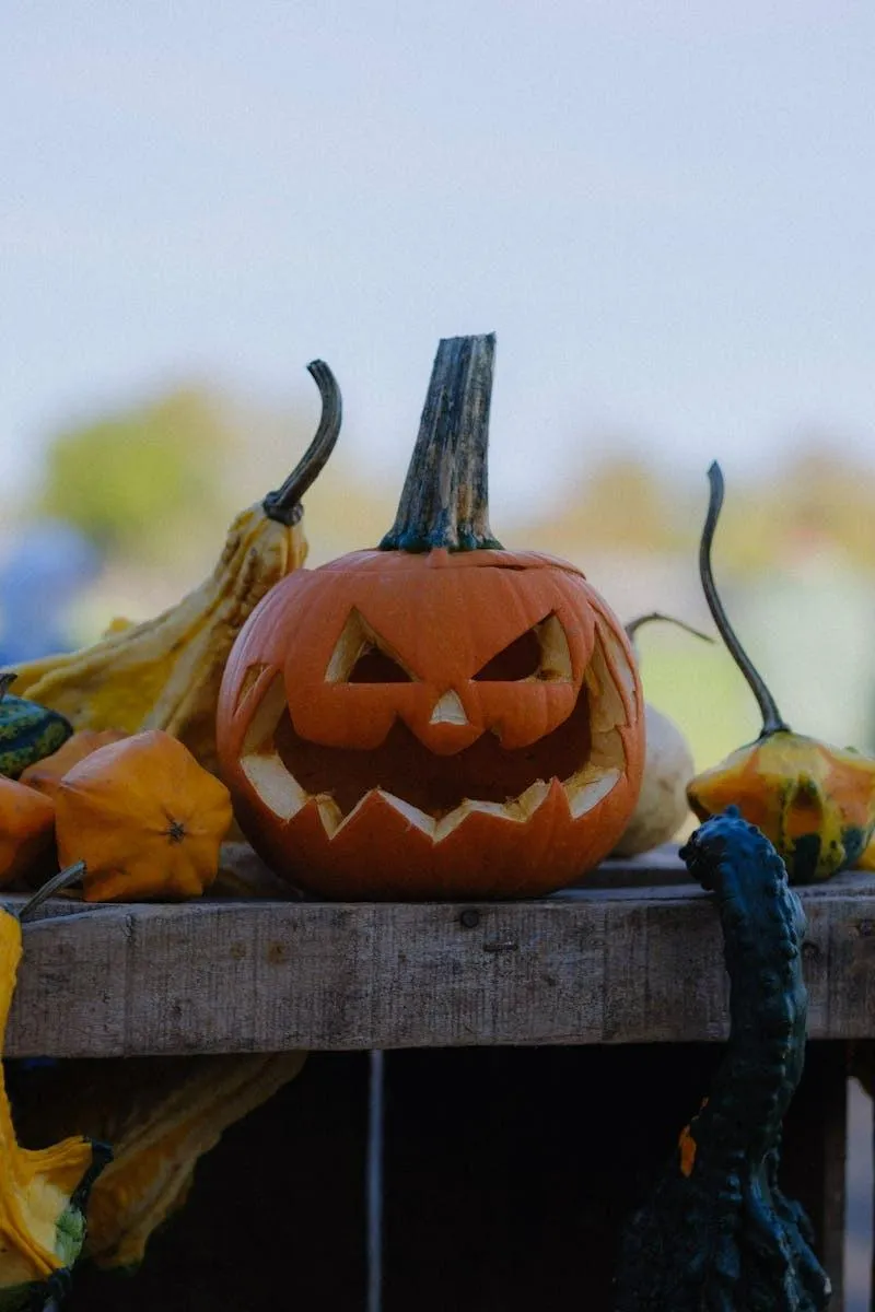 Rustic Jack O Lantern on Wood Table Outside Halloween HD