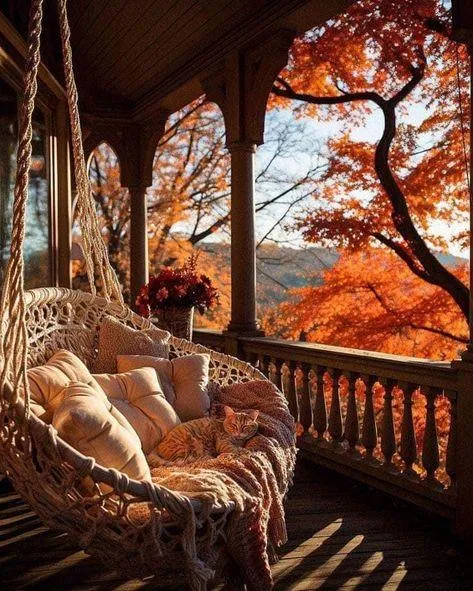 Rustic Porch View with Cozy Swing and Autumn Trees Image