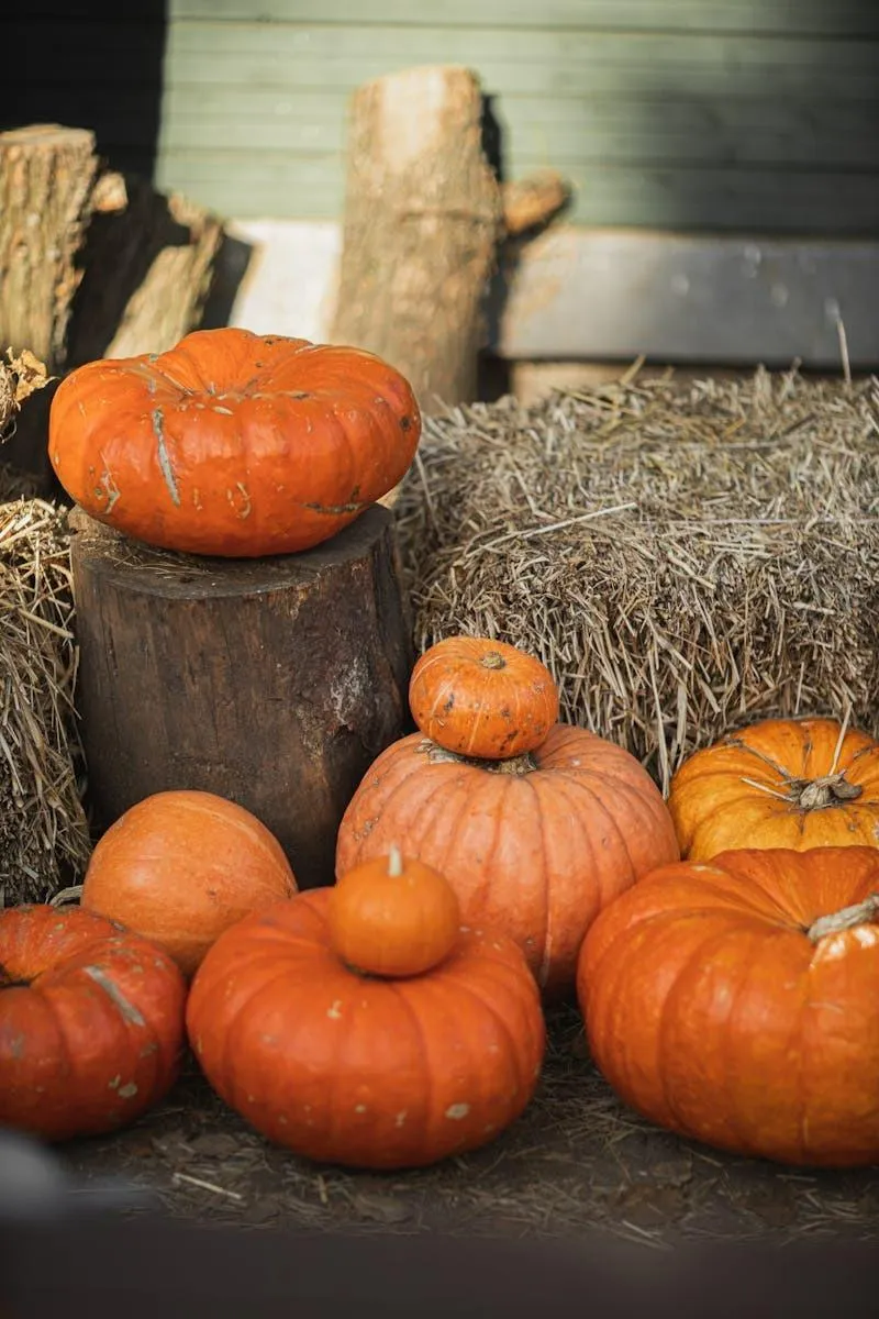 Rustic Porch with Fresh Pumpkins For Fall Decoration