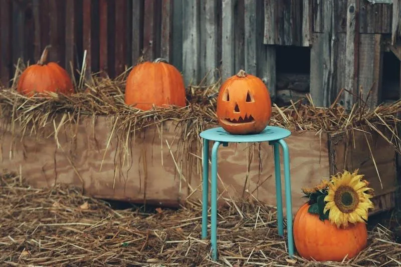 Rustic Pumpkin on Chair with Sunflower in Autumn Wallpaper
