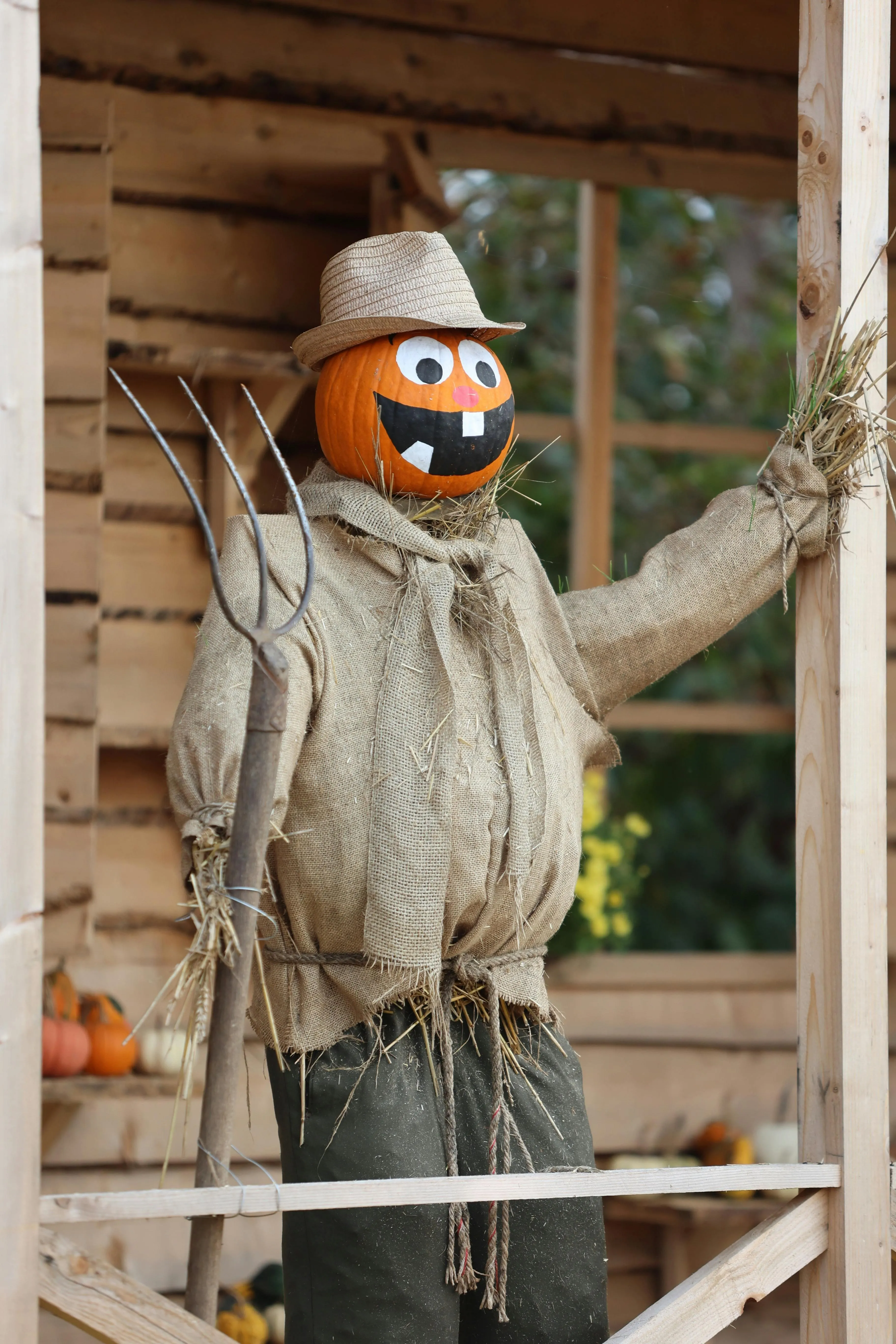 Scarecrow Halloween Festival Costume with Pumpkin Head image