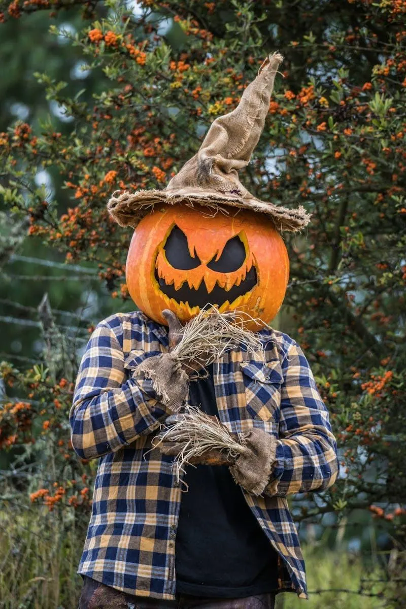 Scarecrow Pumpkin Head with Witch Hat Costume Wallpaper
