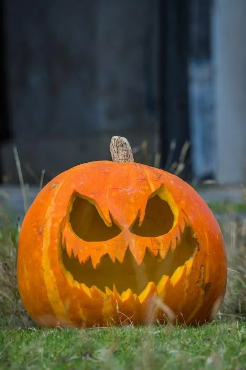 Scary Carved Pumpkin with Sharp Teeth Outdoors Wallpaper