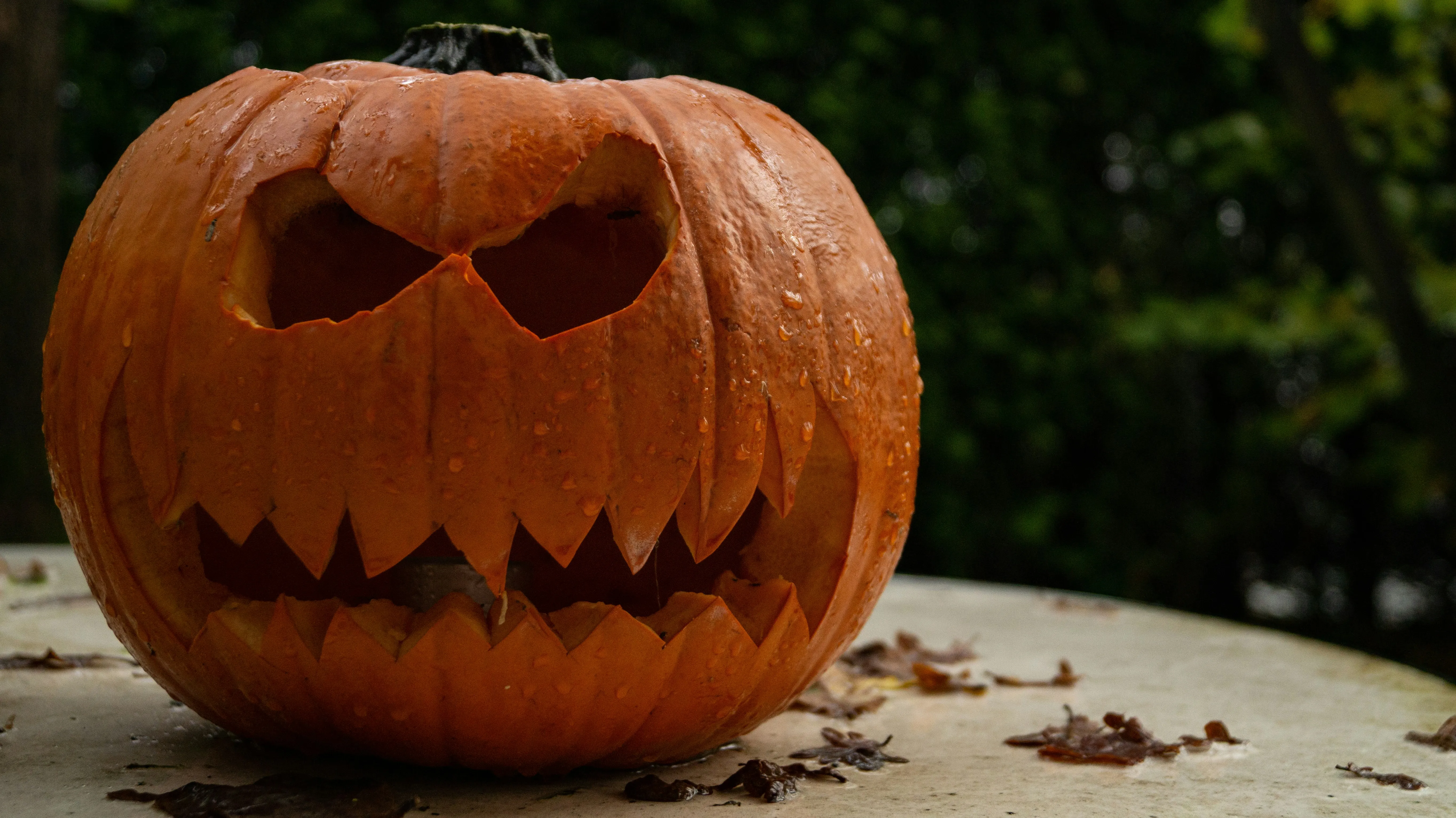 Scary Grinning Carved Pumpkin Outdoors on Halloween Image