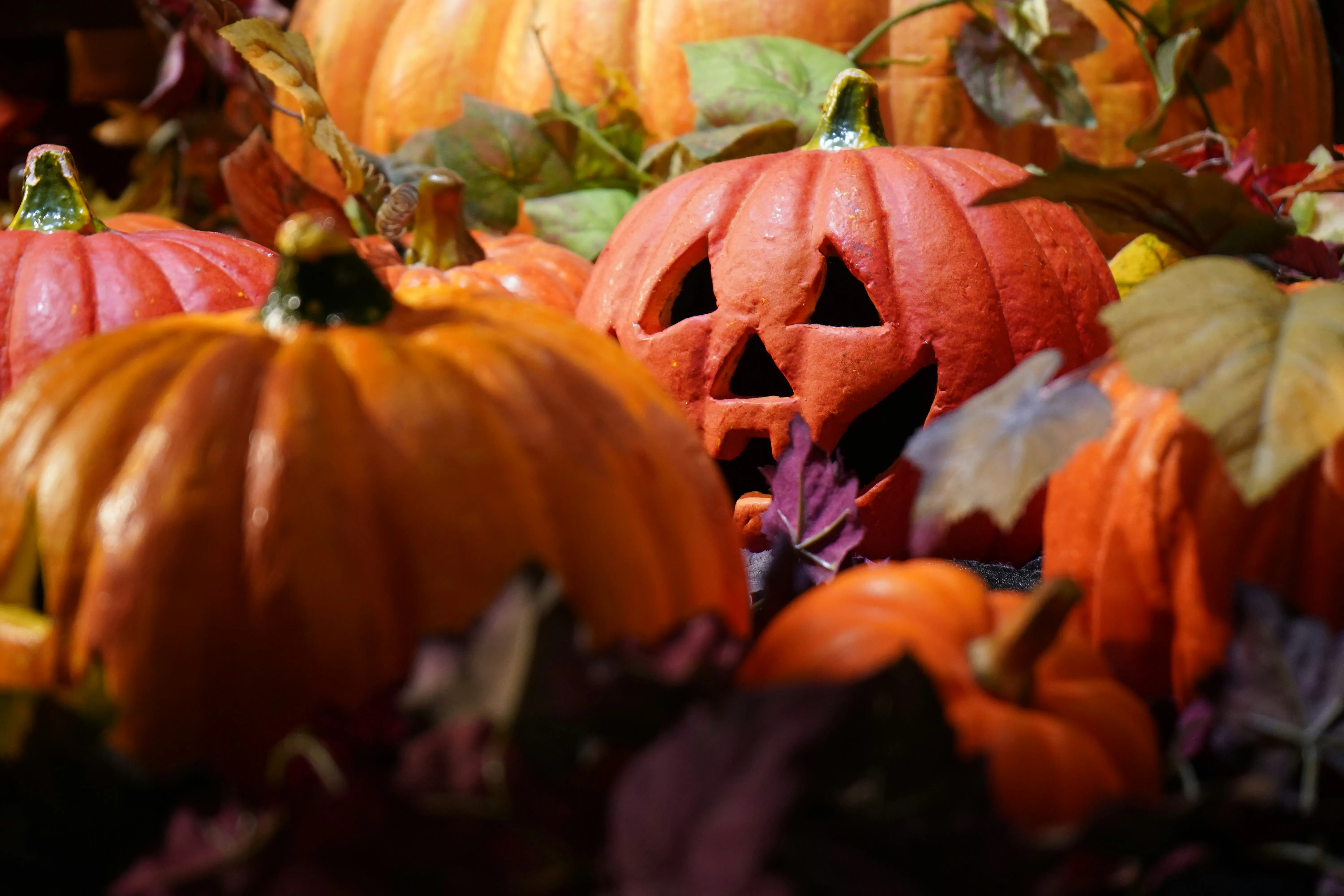Scary Halloween Pumpkin in Autumn Leaves Free Wallpaper