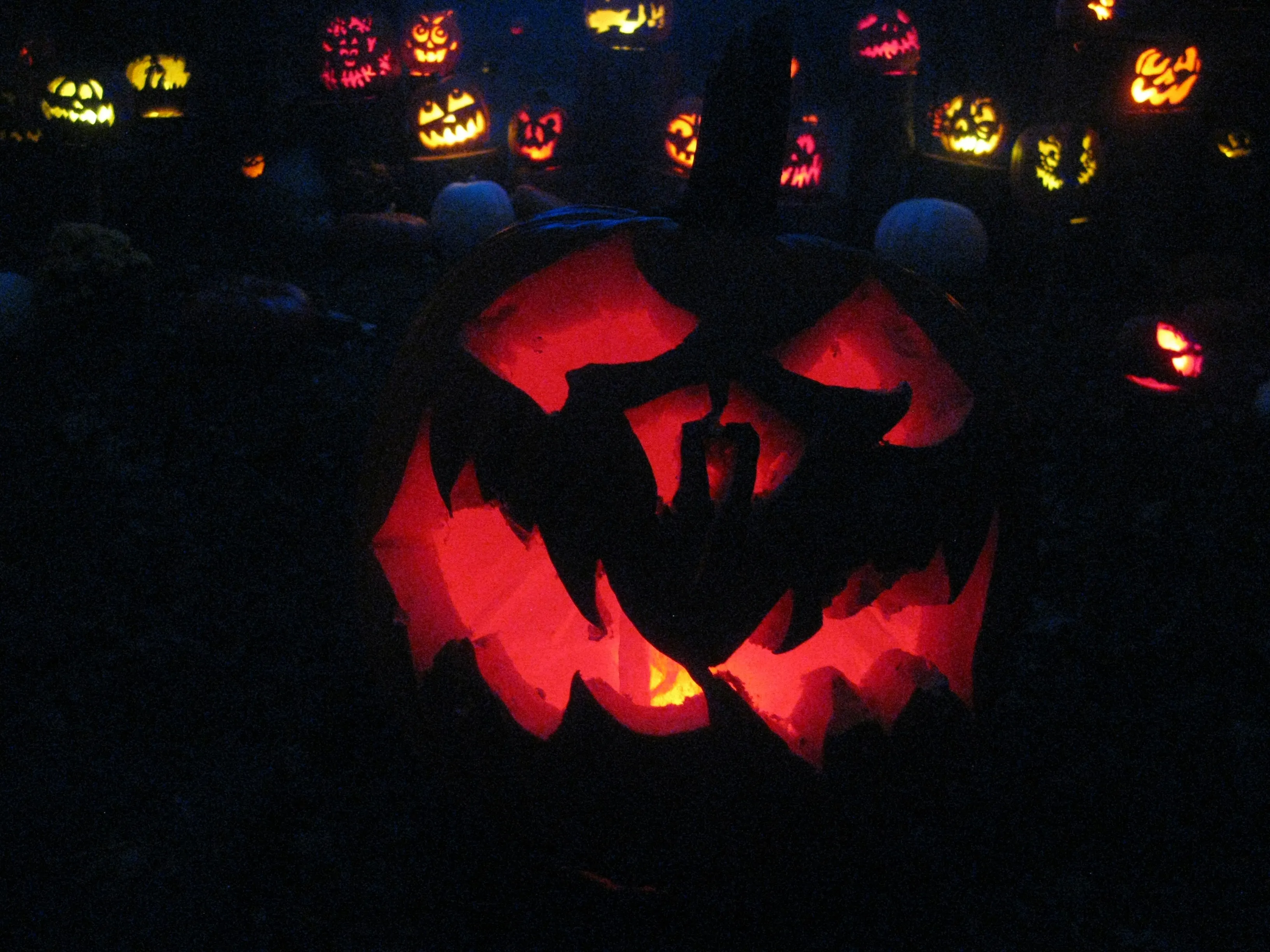 Scary Jack O Lantern Glowing in Dark Night HD Wallpaper