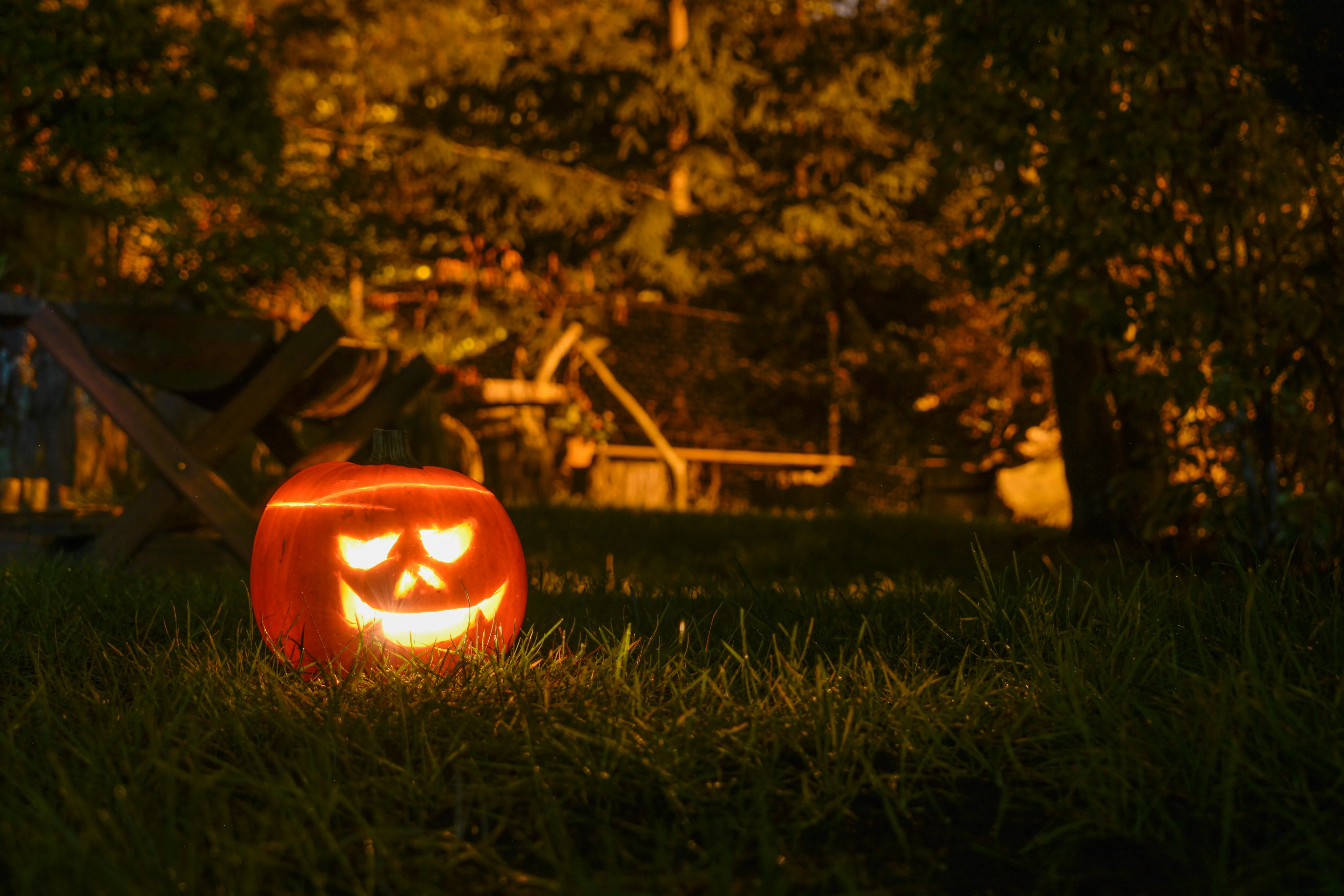 Scary Jack O Lantern Glowing in Forest HD Free Wallpaper