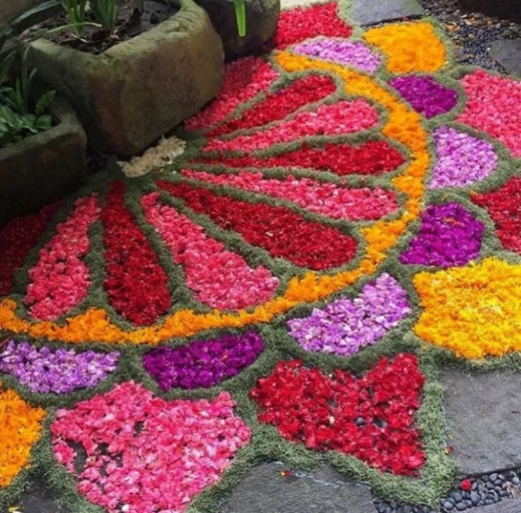Semi circular floral kolam Design in garden Pathway image