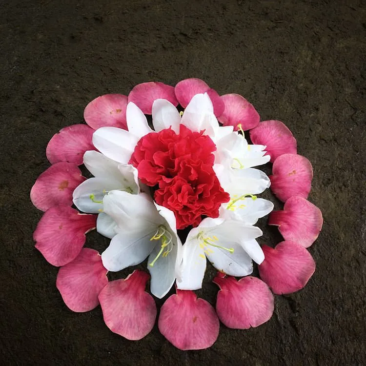 Simple mini pookolam design with fresh pink petals wallpaper