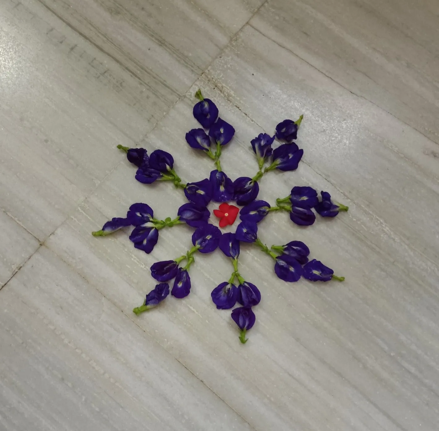 Simple Pookalam with purple Clitoria and red flower image
