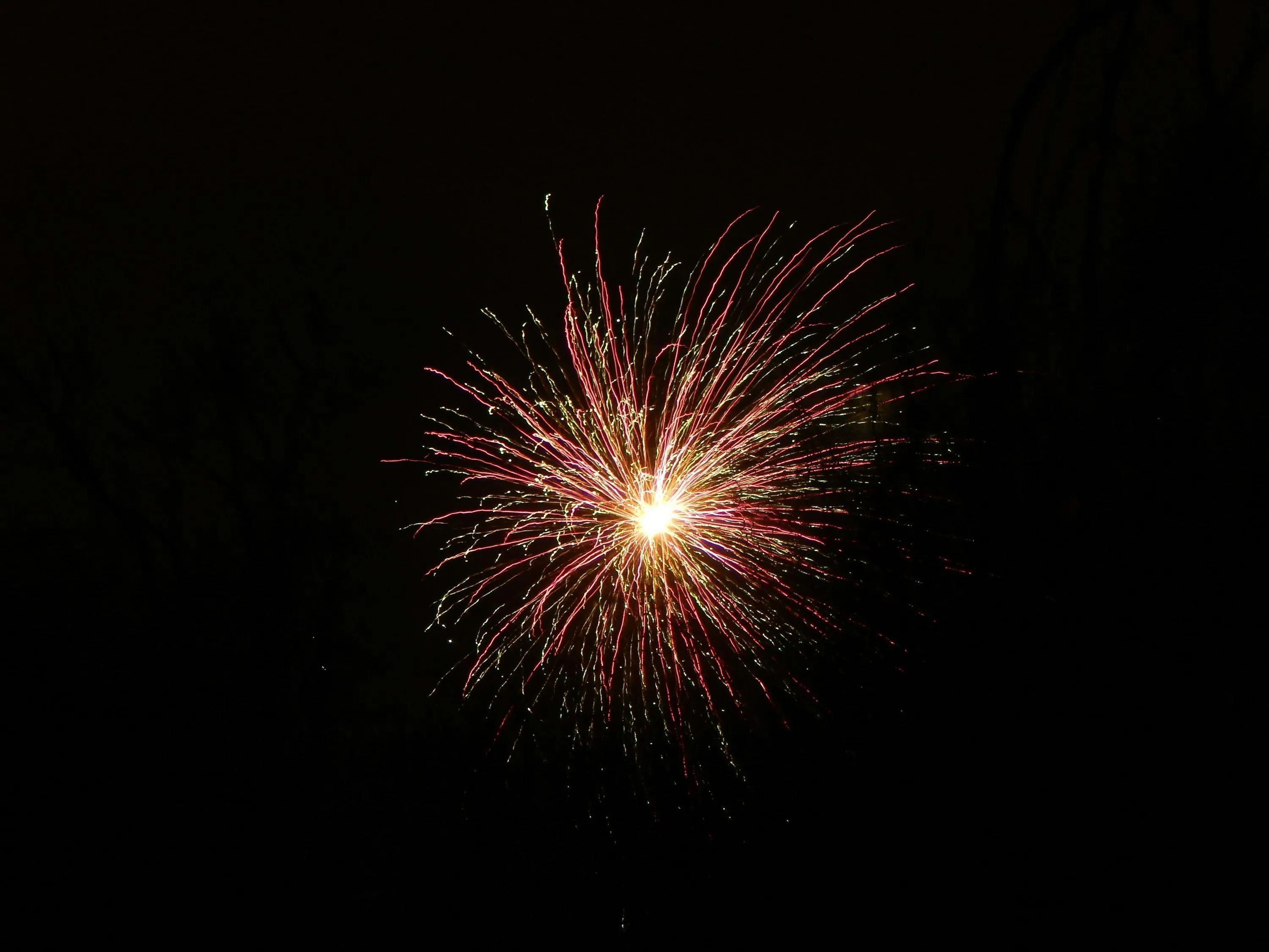 Simple Yet Beautiful Fireworks in the Night Sky Wallpaper