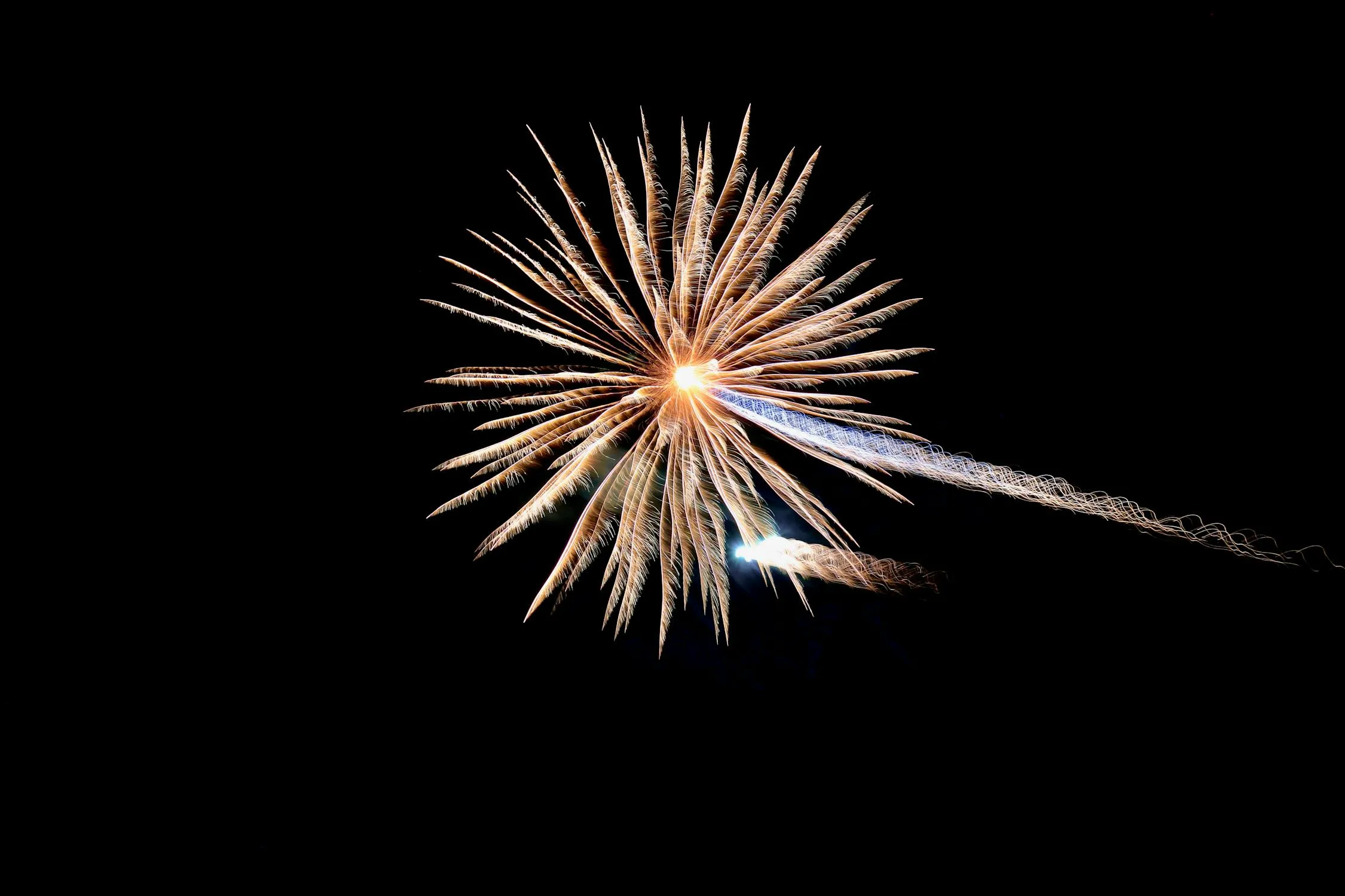Single burst of colorful fireworks illuminating the night sky