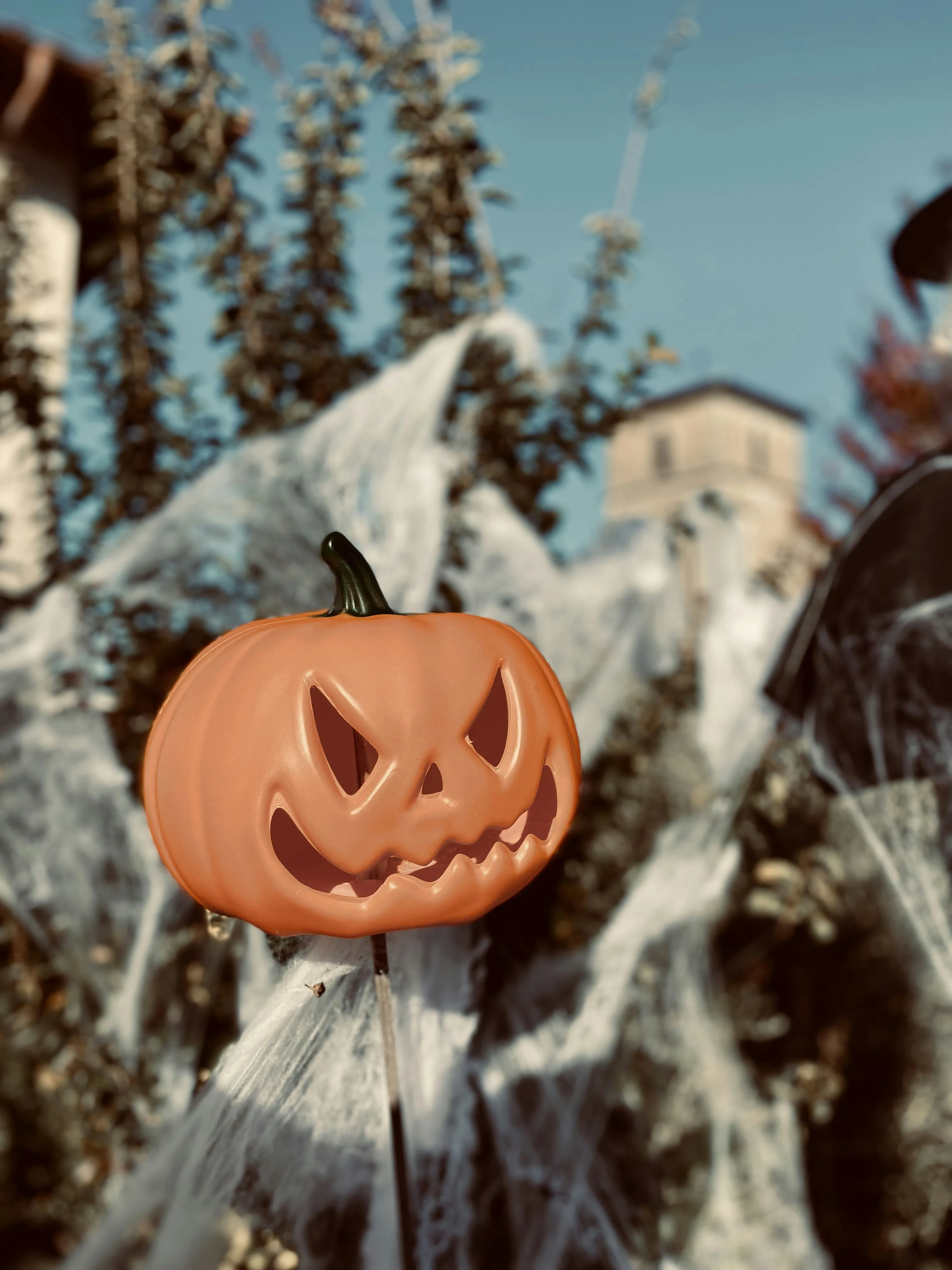 Single Carved Pumpkin on Fence Post with Dried Leaves
