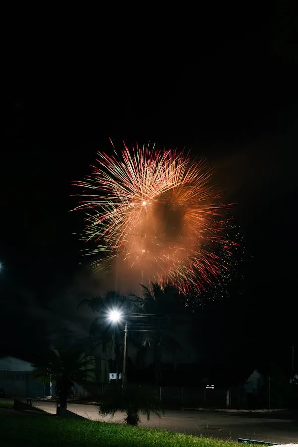 Single Firework Burst with Colorful Trails in the Night Sky