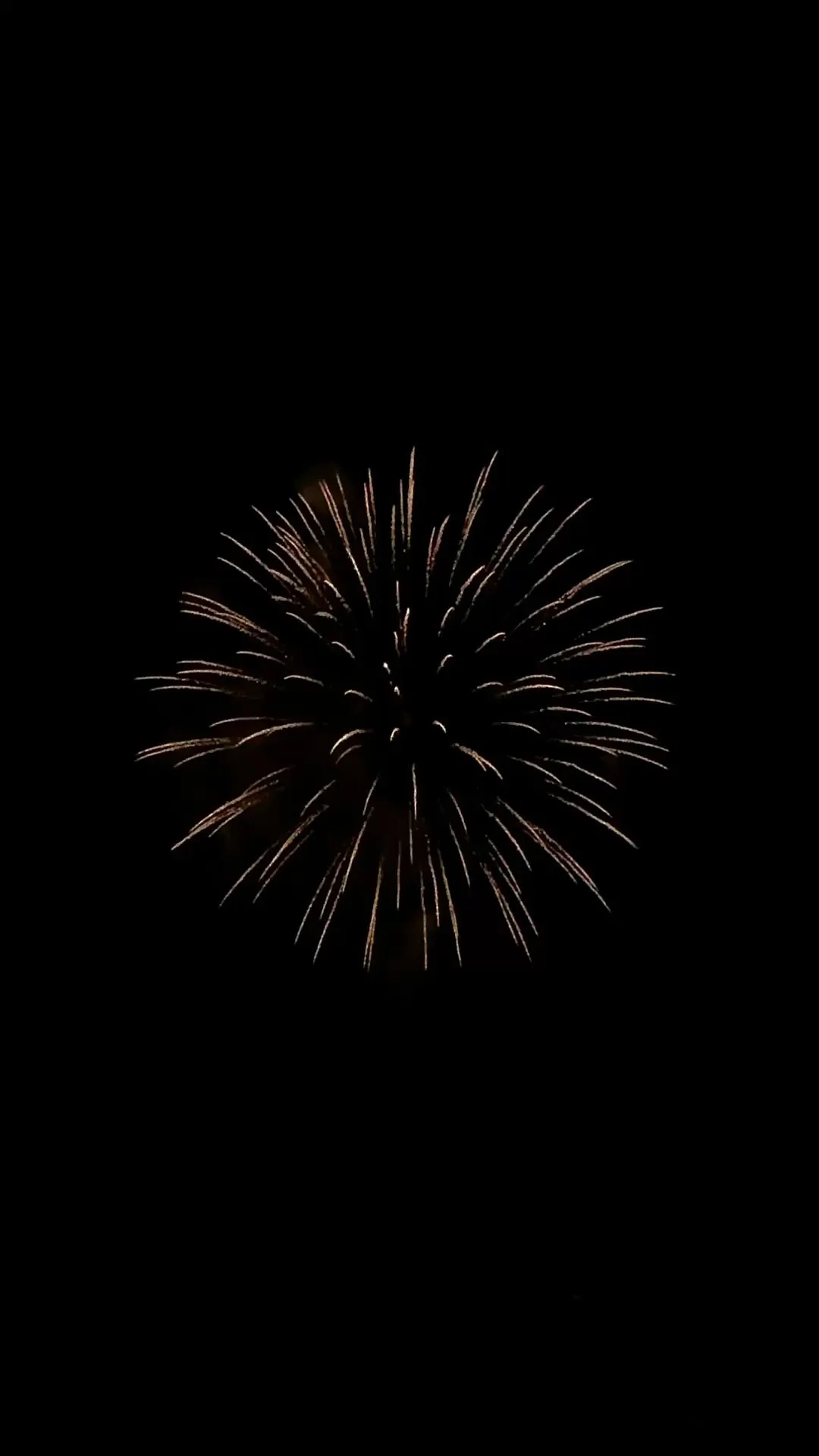 Single Firework Exploding in the Dark Night Wallpaper