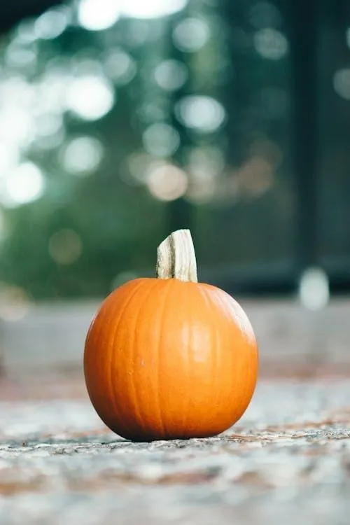 Single Orange Pumpkin on Pavement with Blurred Background