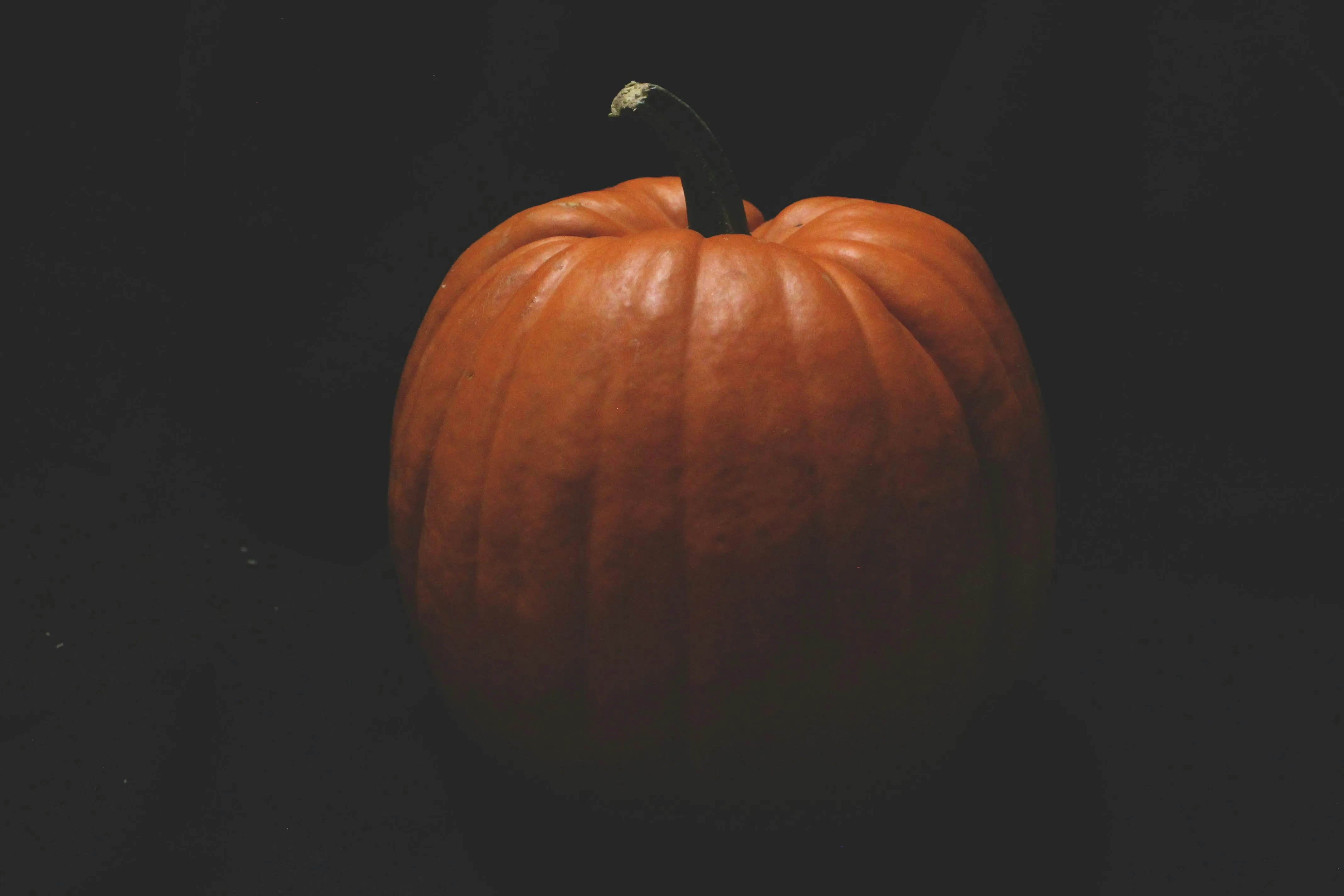 Single Pumpkin Spotlighted on a Dark Halloween Night