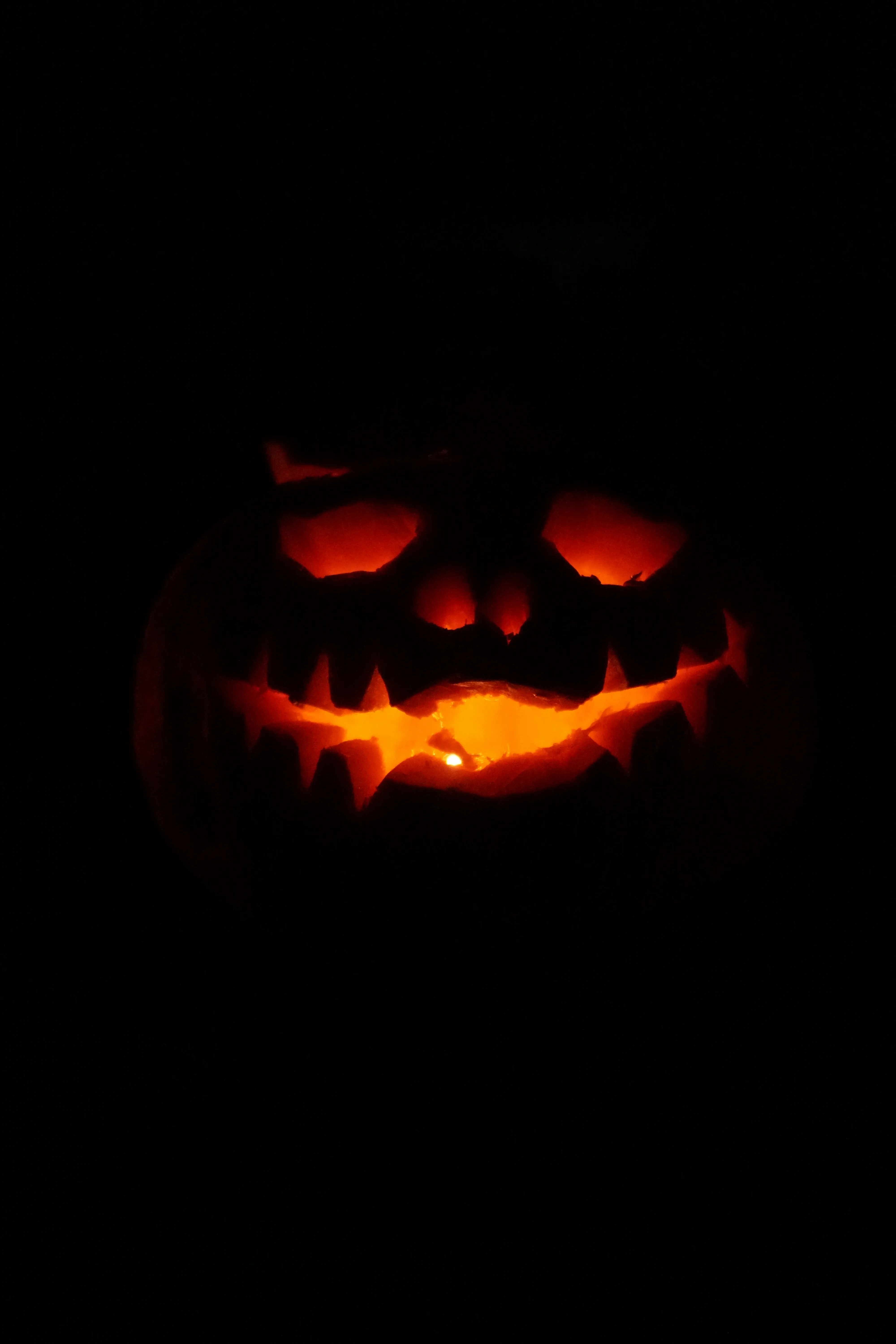 Sinister Jack O Lantern Face Lit in Darkness HD Free Image