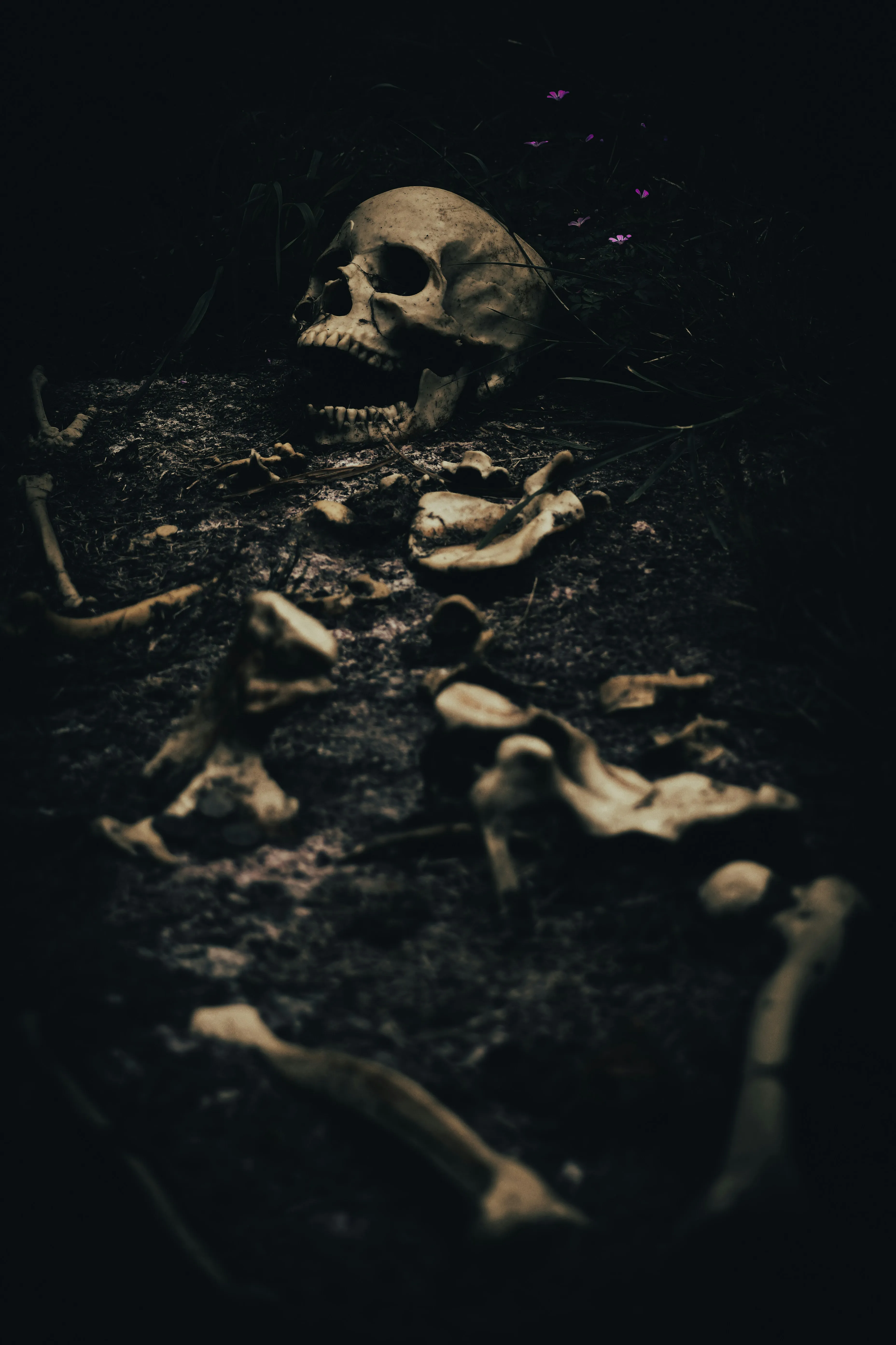 Skeleton Bones in Dark Spooky Halloween Setting image