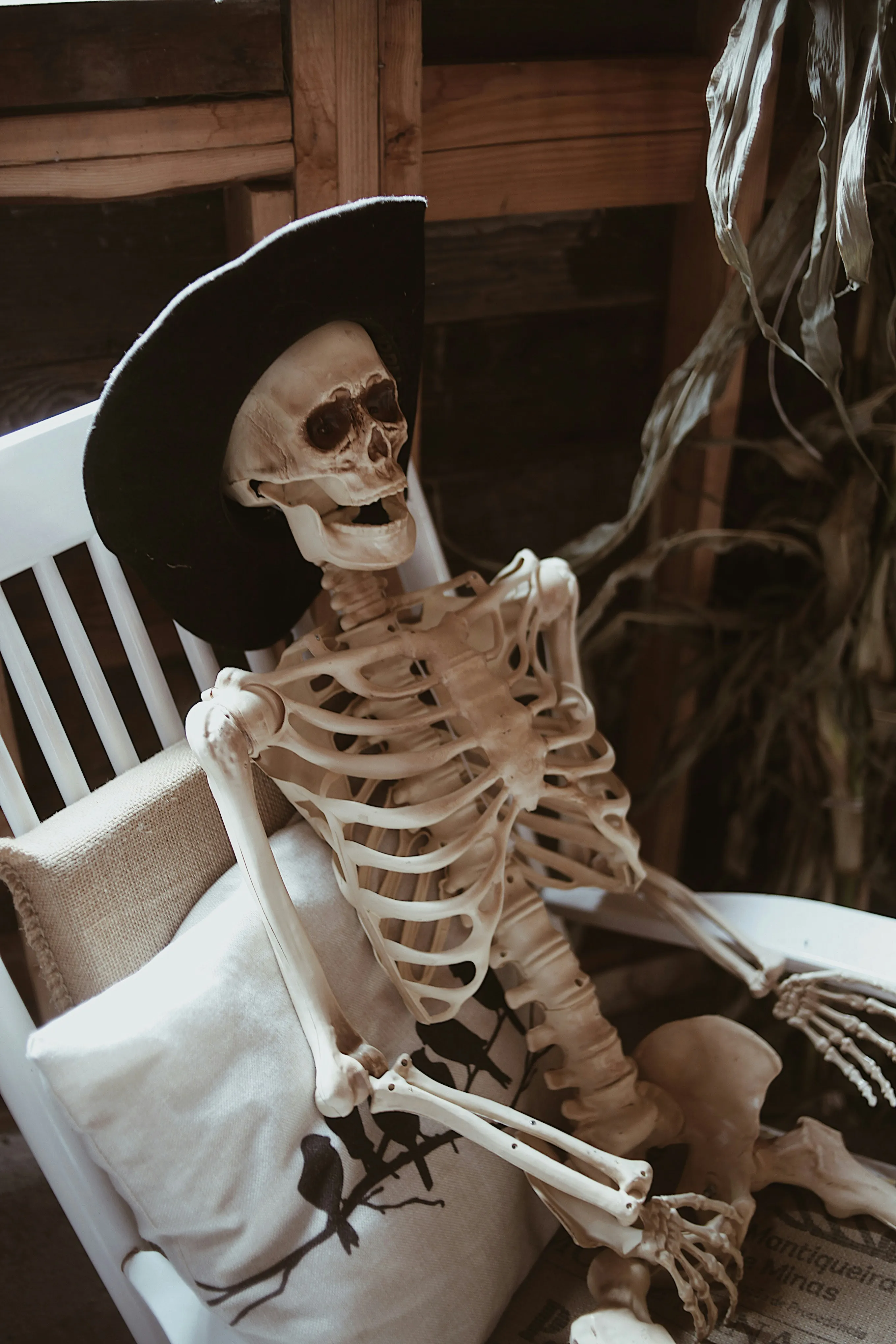Skeleton Decoration Sitting at Halloween Festival Wallpaper