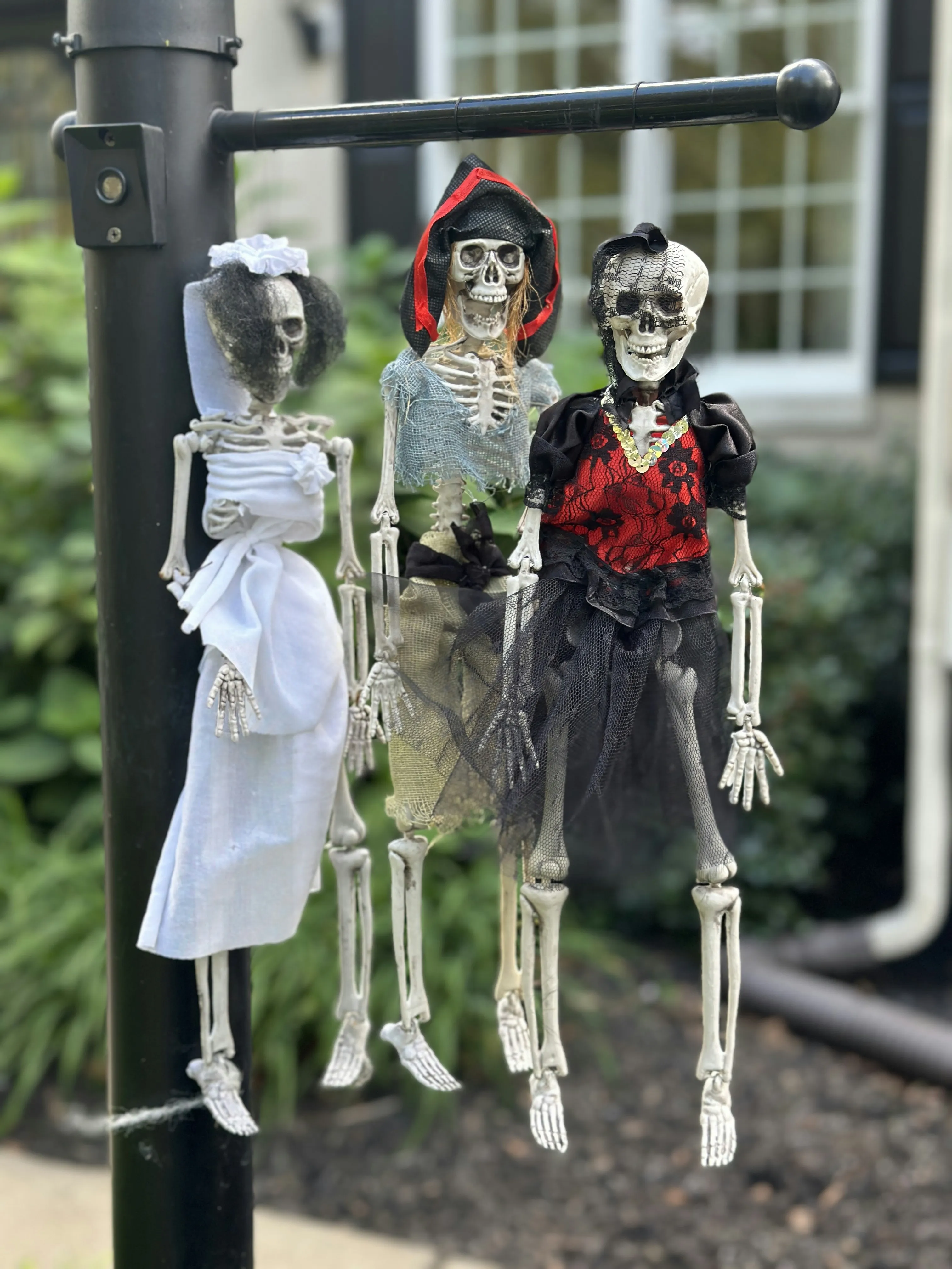 Skeleton Dolls Hanging at Spooky Halloween Festival image