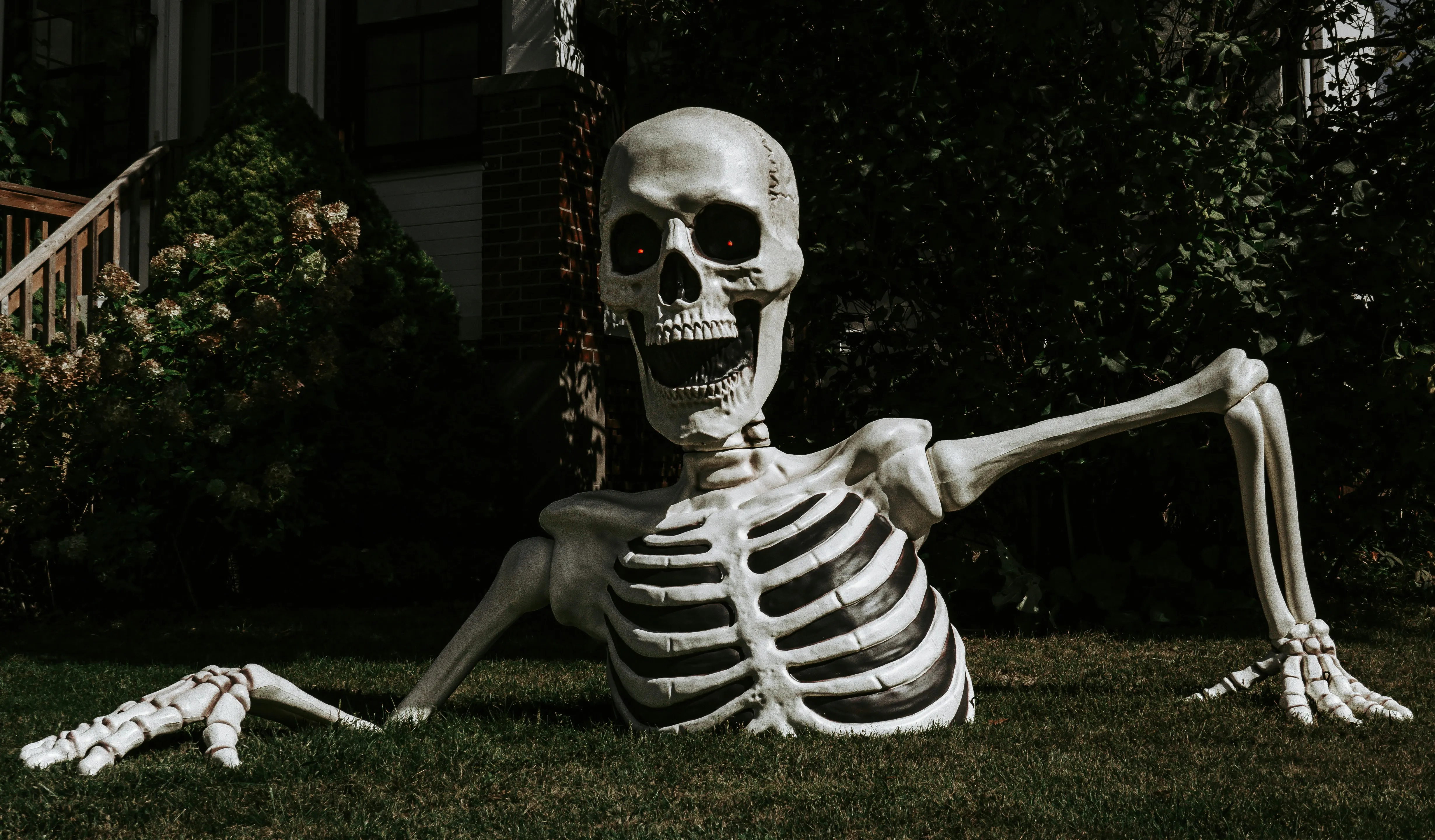 Skeleton Prop Lying Outdoors for Halloween festival image