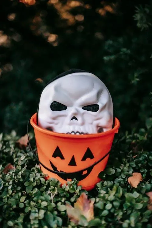 Skull in Orange Pumpkin Bucket Halloween Decoration Image
