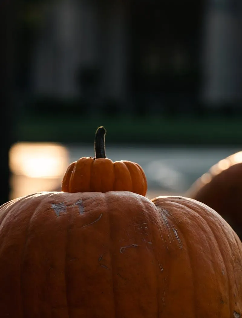 Small and Big Pumpkin Under Soft Lighting Close-Up HD