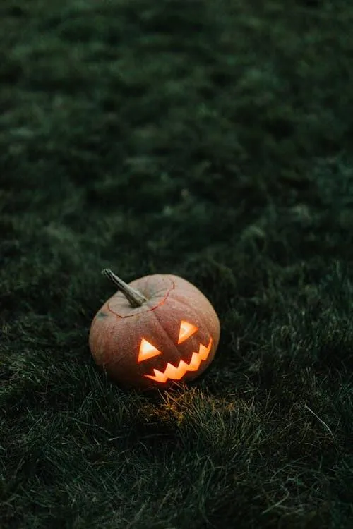Small Carved Pumpkin Lit Up in Dark Green Forest Image