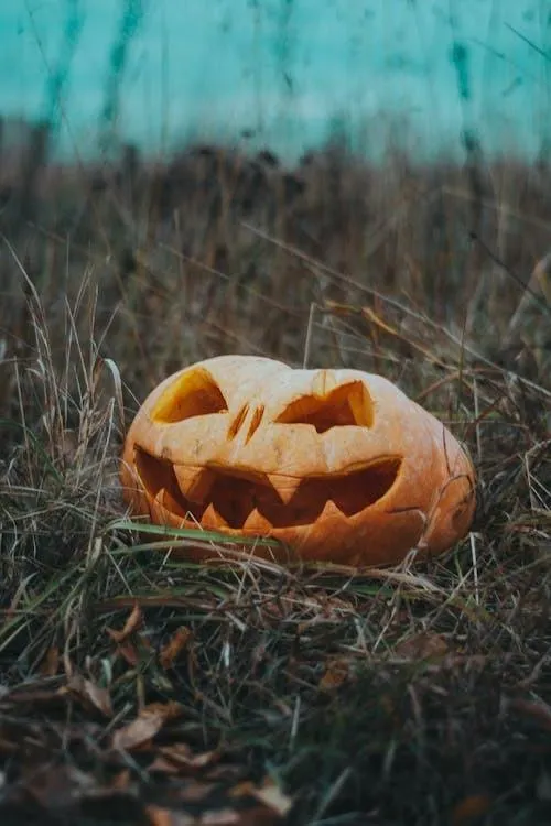 Small Compreesed Face Glowing Pumpkin in Dry Field HD