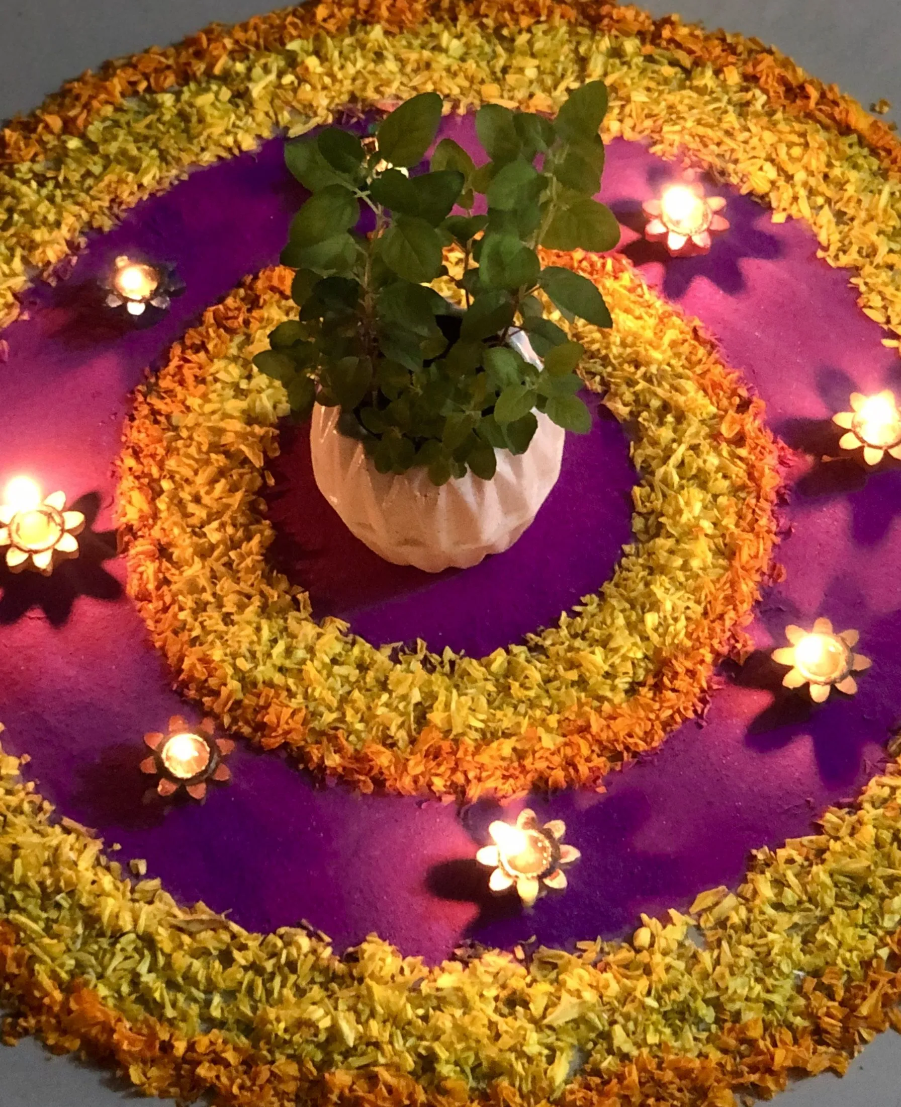 Small concentric circle rangoli design with a potted plant