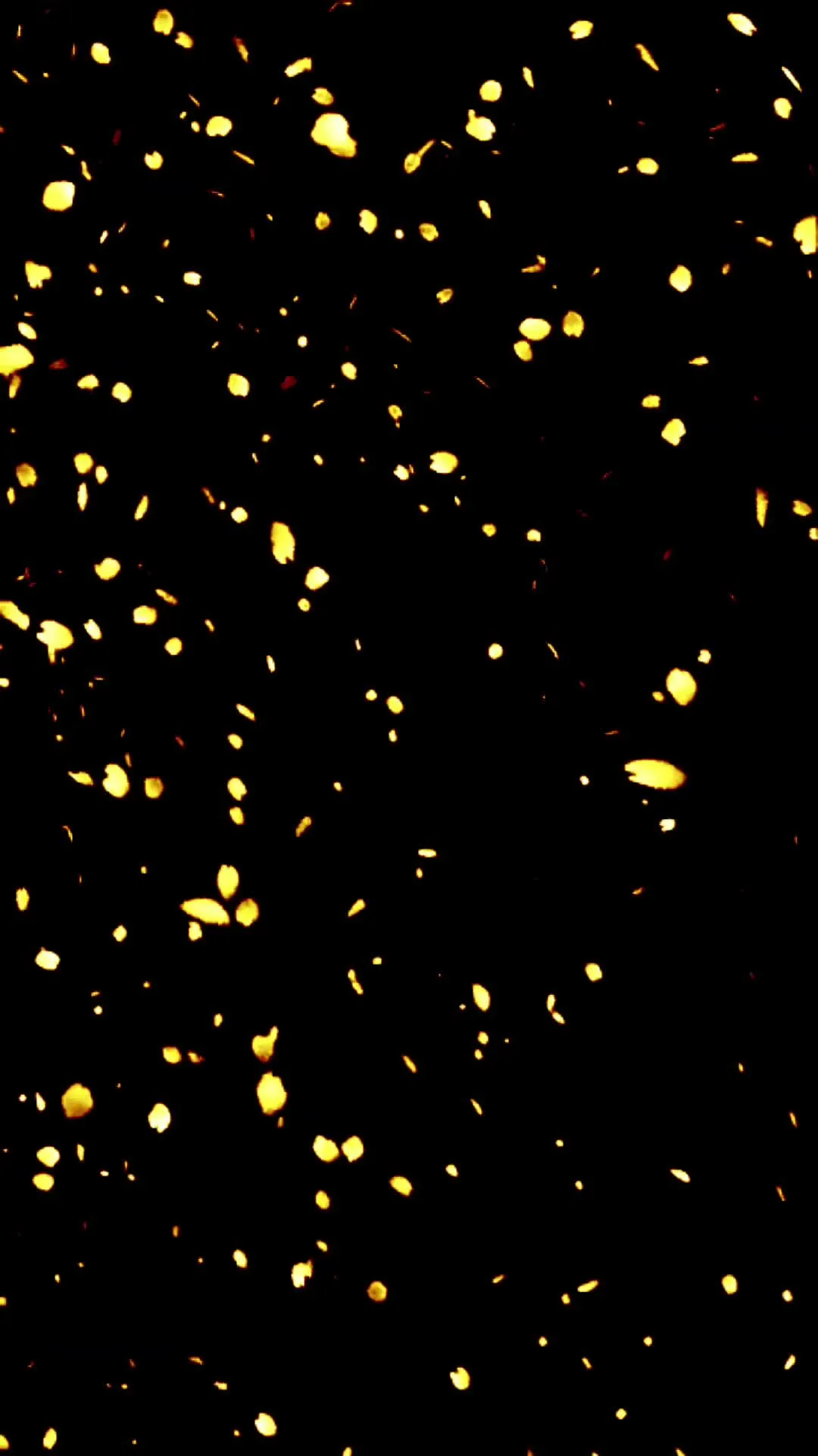 Small Fireworks with Golden Sparks in Dark Sky Wallpaper