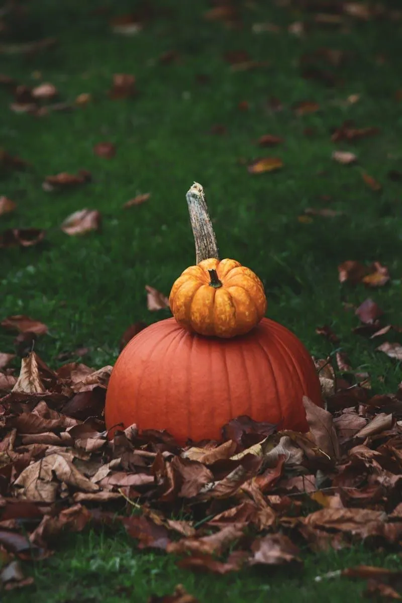 Small Gourd Sitting on Large Pumpkin in Fallen Leaves