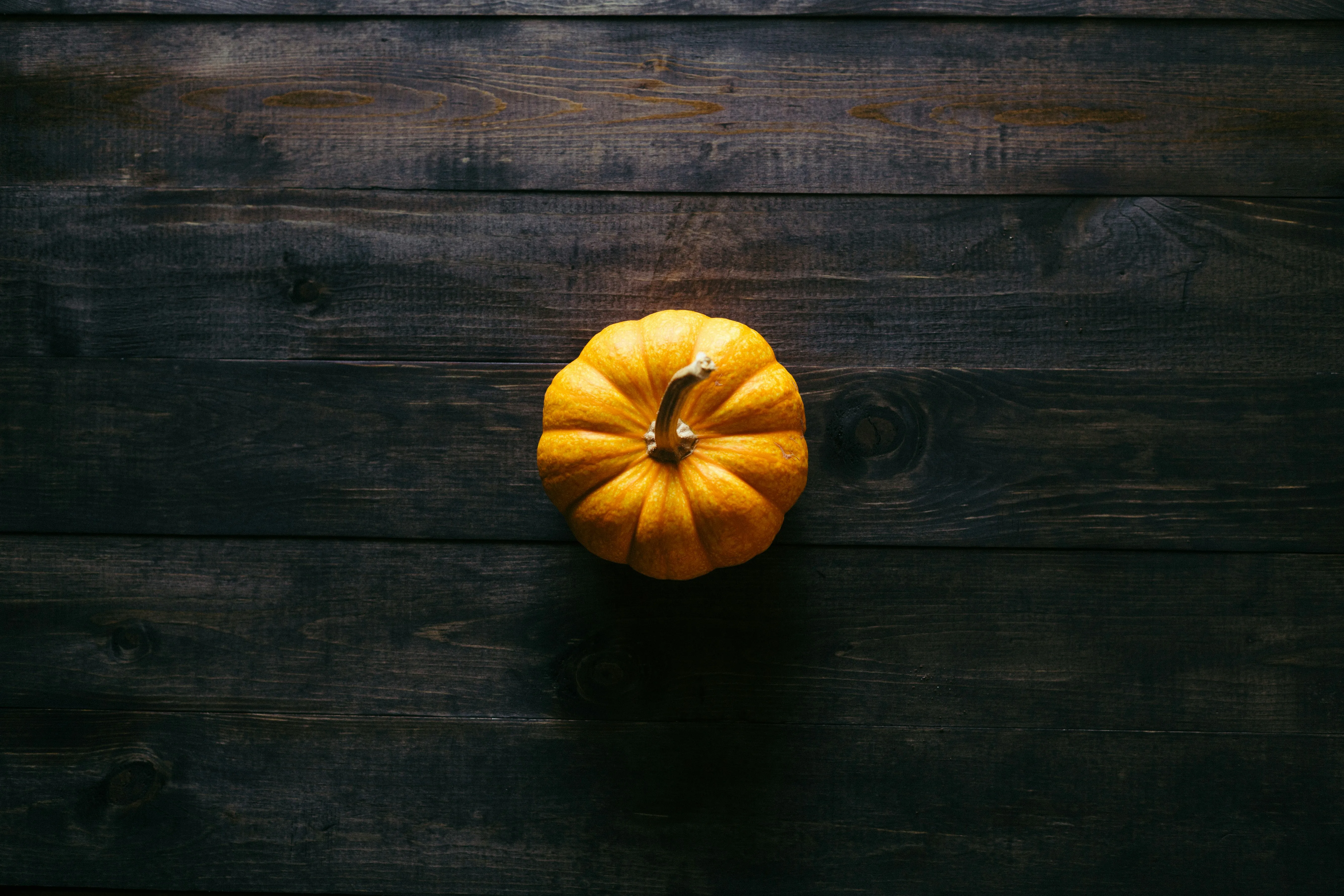 Small Mini Pumpkin Centered on Wooden Rustic Surface Image