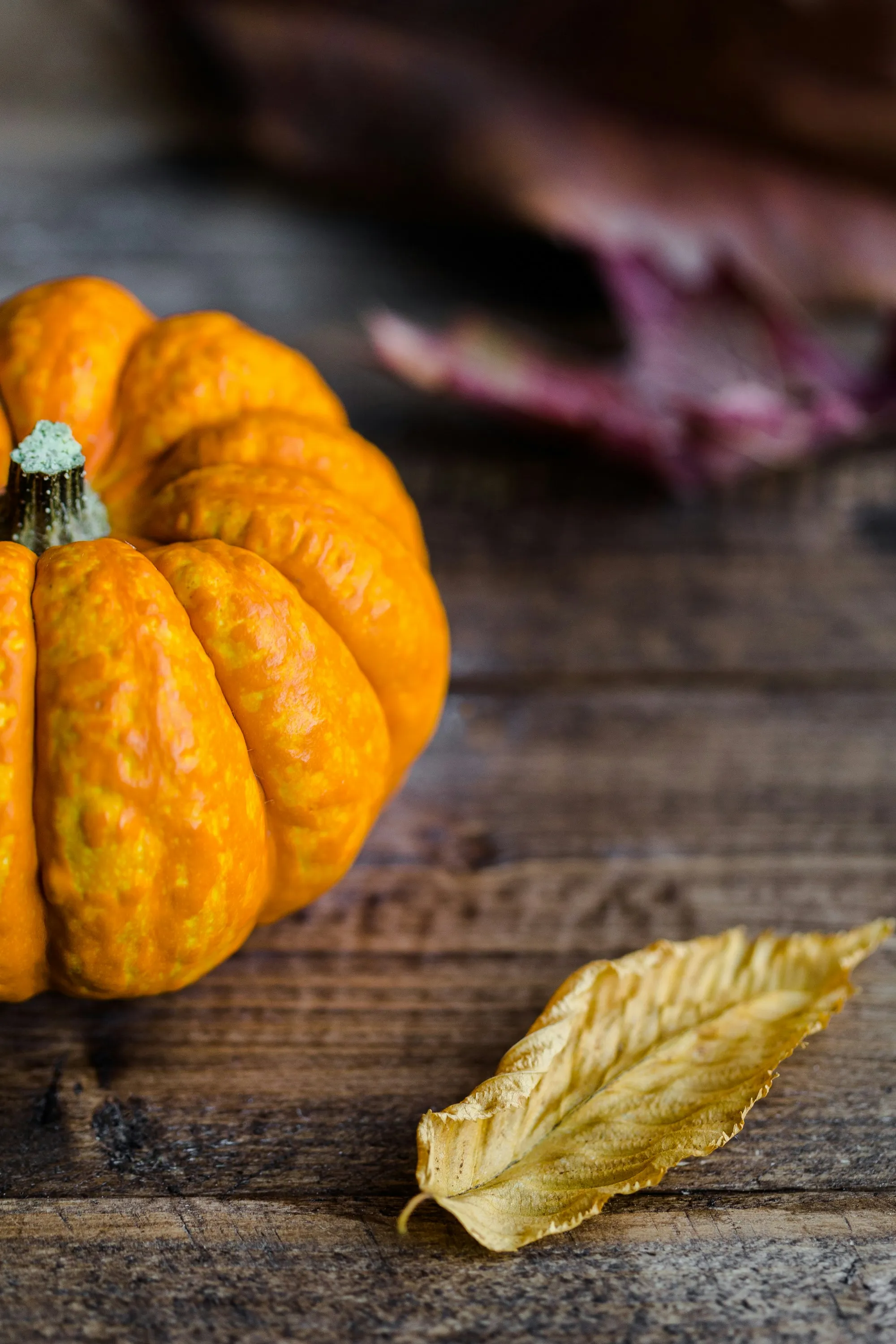 Small Orange Pumpkin with Yellow Autumn Leaf Wallpaper