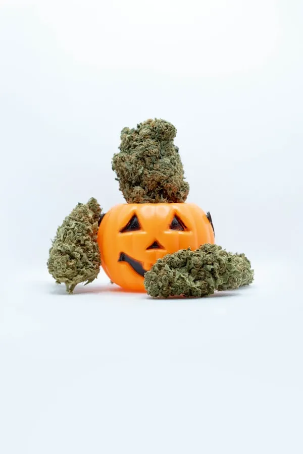 Small Pumpkin Decorated with Moss on White Background