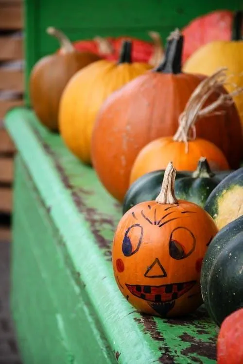 Small Pumpkins and Jack O Lanterns on Green Wooden Bench