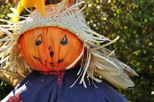 Smiling Scarecrow with Pumpkin Head in Field HD Wallpaper