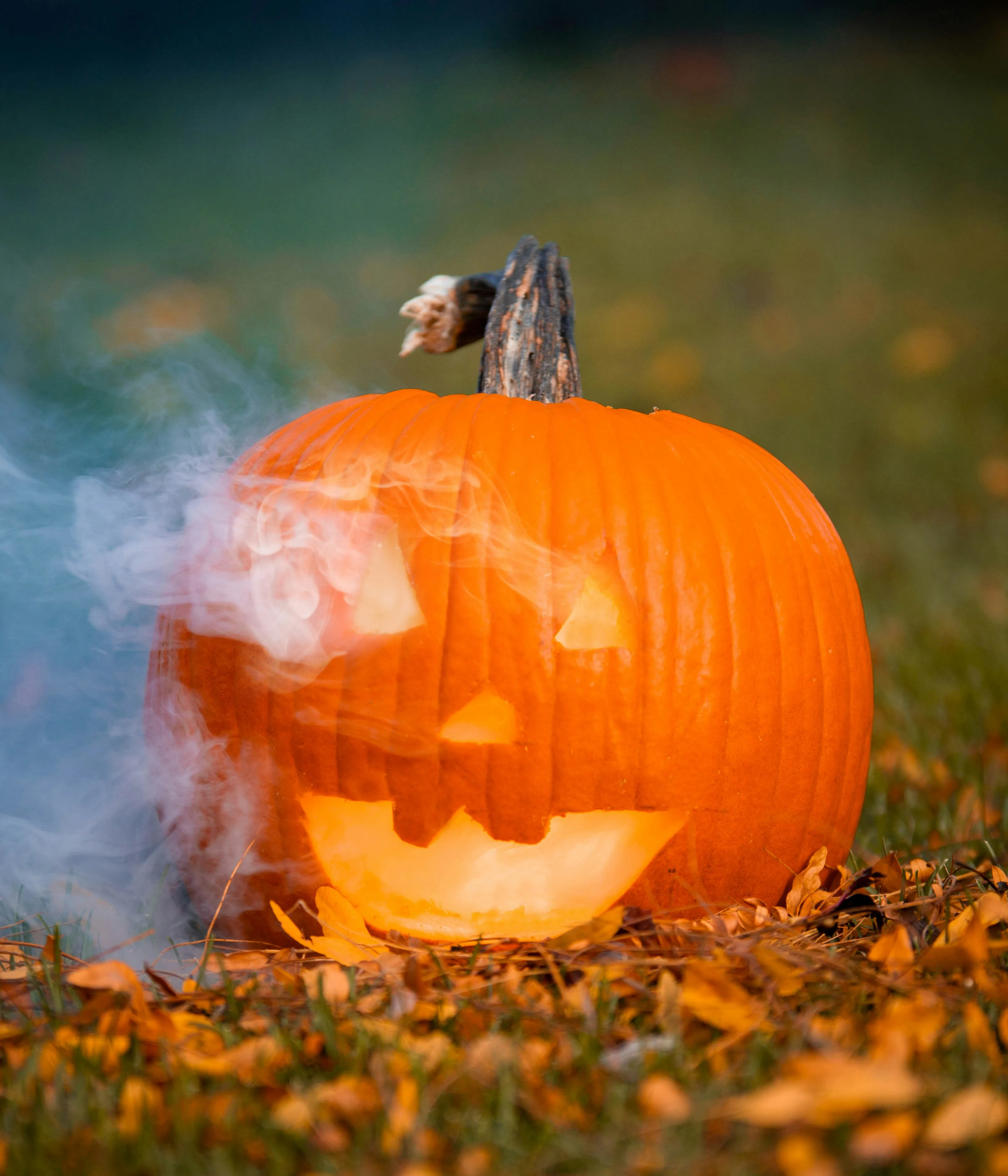 Smoking Jack O Lantern Pumpkin Outdoors on Fall Leaves